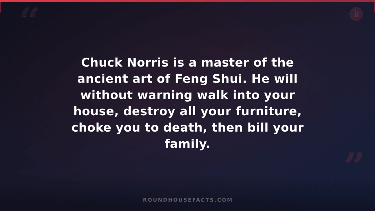 Chuck Norris Fact — Chuck Norris is a master of the ancient art of Feng Shui. He