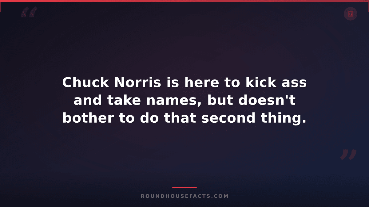 Chuck Norris Fact — Chuck Norris is here to kick ass and take names, but doesn't