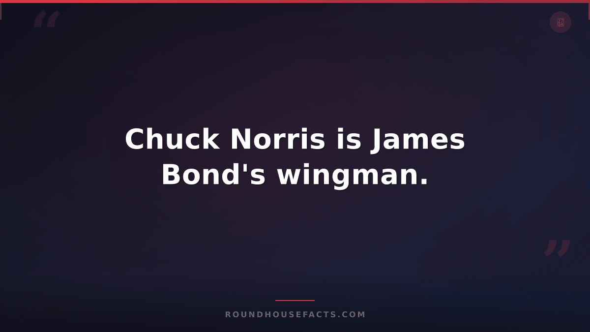 Chuck Norris Fact — Chuck Norris is James Bond's wingman.