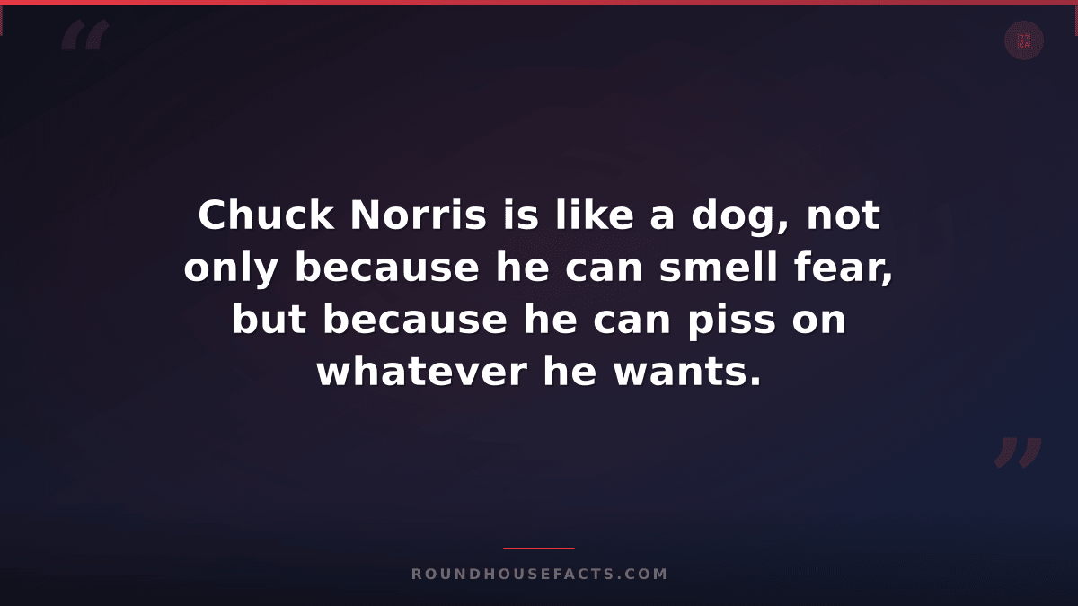 Chuck Norris Fact — Chuck Norris is like a dog, not only because he can smell fe