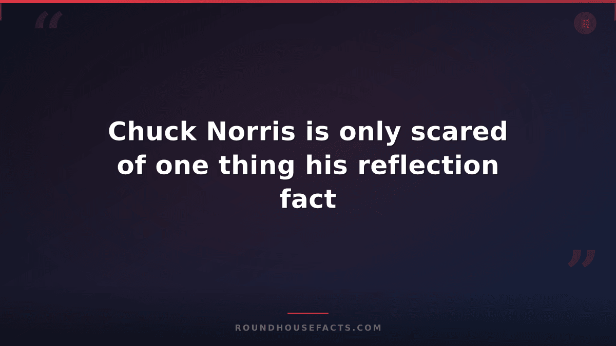 Chuck Norris Fact — Chuck Norris is only scared of one thing his reflection fact