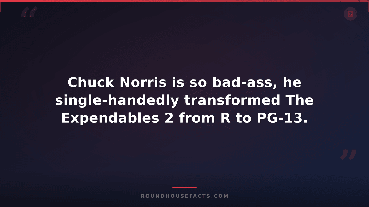 Chuck Norris Fact — Chuck Norris is so bad-ass, he single-handedly transformed T