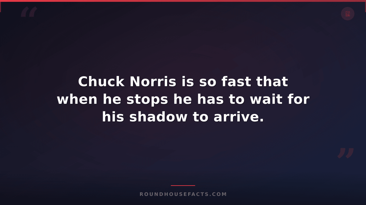 Chuck Norris Fact — Chuck Norris is so fast that when he stops he has to wait fo