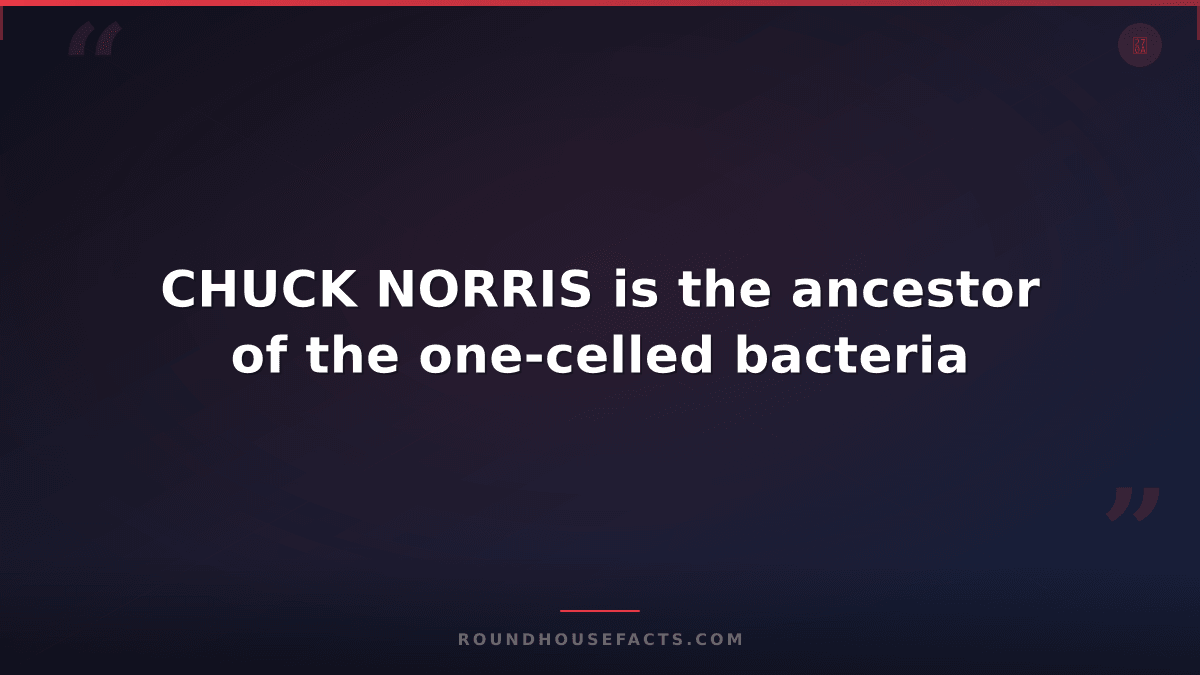 Chuck Norris Fact — CHUCK NORRIS is the ancestor of the one-celled bacteria