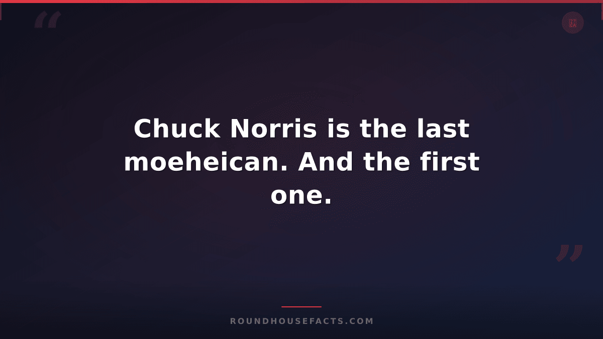 Chuck Norris Fact — Chuck Norris is the last moeheican. And the first one.