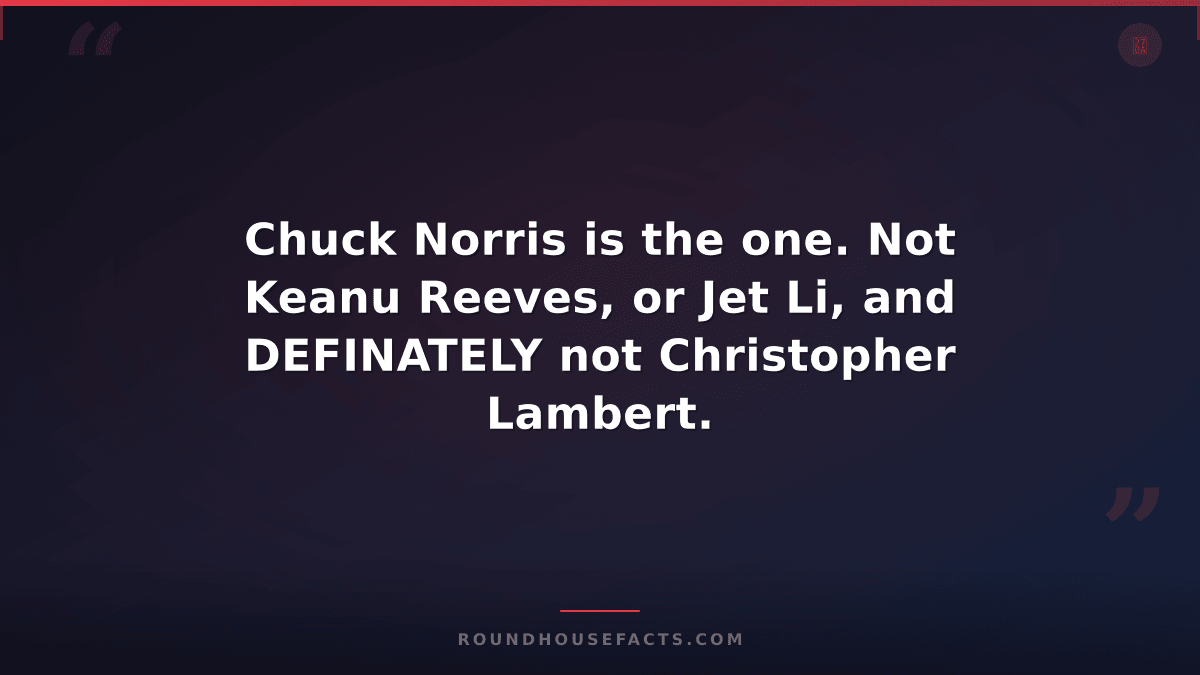 Chuck Norris Fact — Chuck Norris is the one. Not Keanu Reeves, or Jet Li, and DE