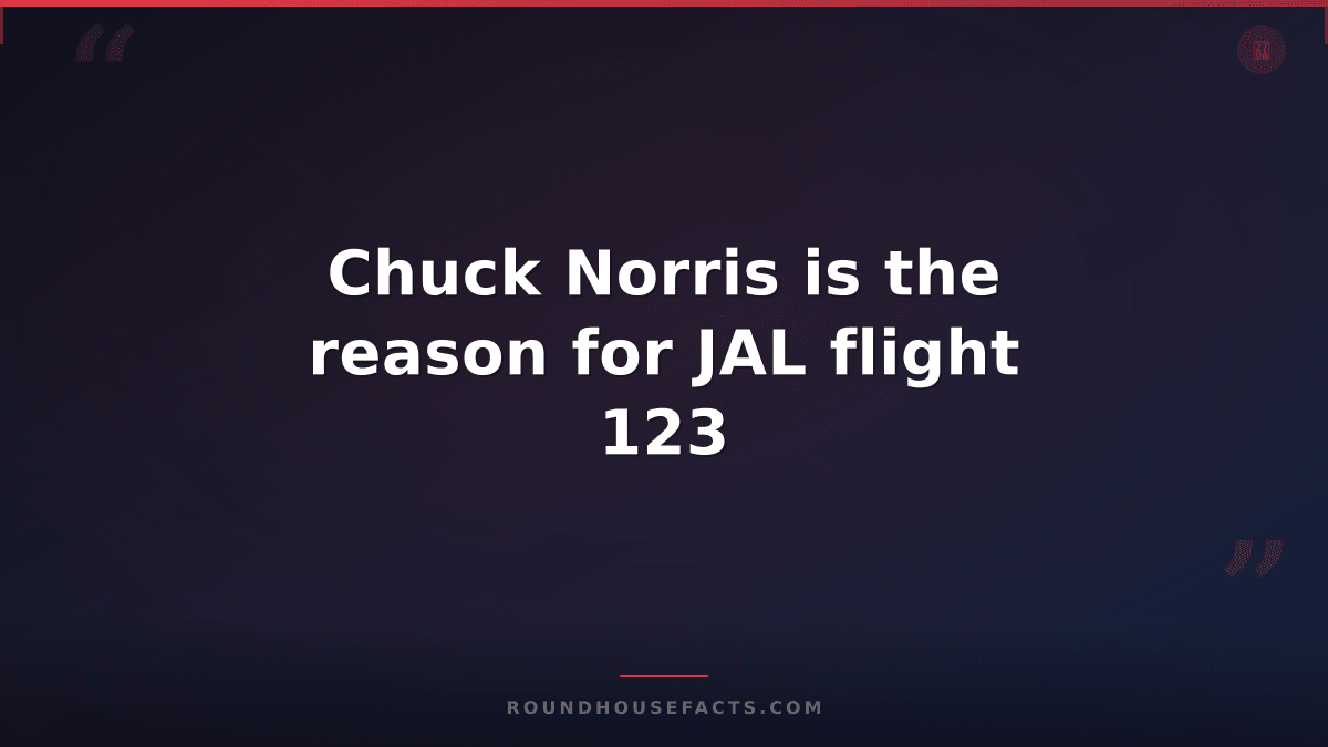 Chuck Norris Fact — Chuck Norris is the reason for JAL flight 123