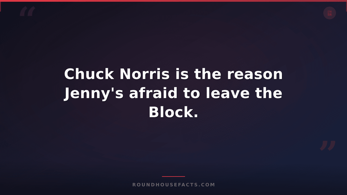 Chuck Norris Fact — Chuck Norris is the reason Jenny's afraid to leave the Block