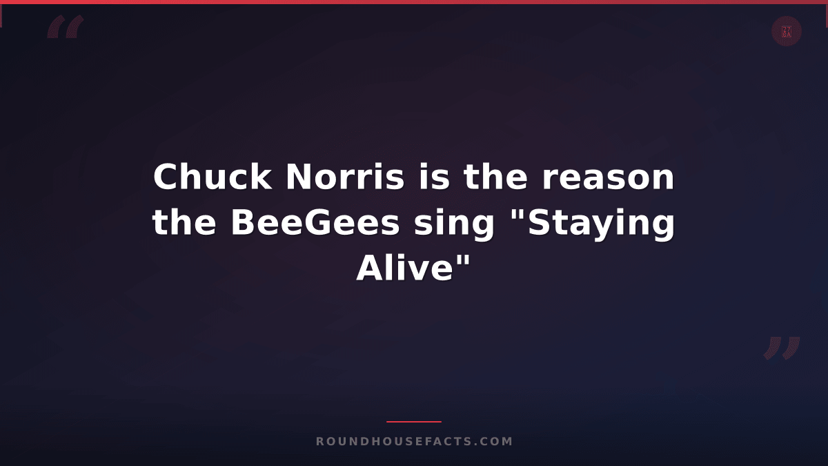 Chuck Norris Fact — Chuck Norris is the reason the BeeGees sing "Staying Alive"