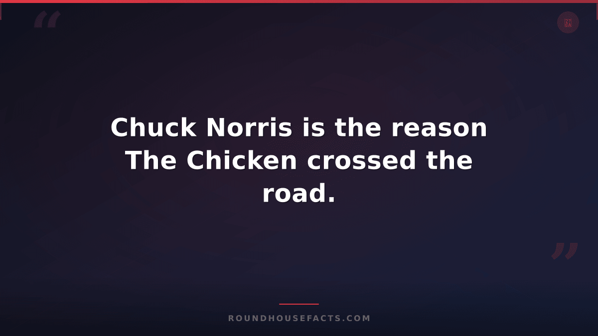 Chuck Norris Fact — Chuck Norris is the reason The Chicken crossed the road.