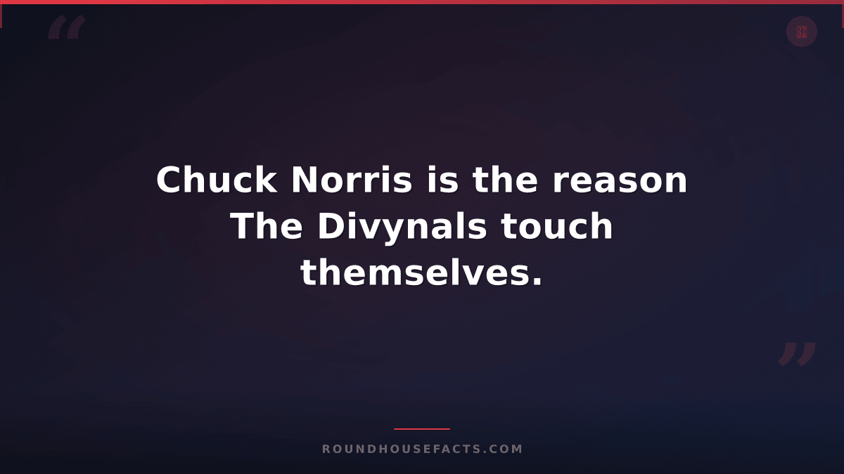Chuck Norris Fact — Chuck Norris is the reason The Divynals touch themselves.
