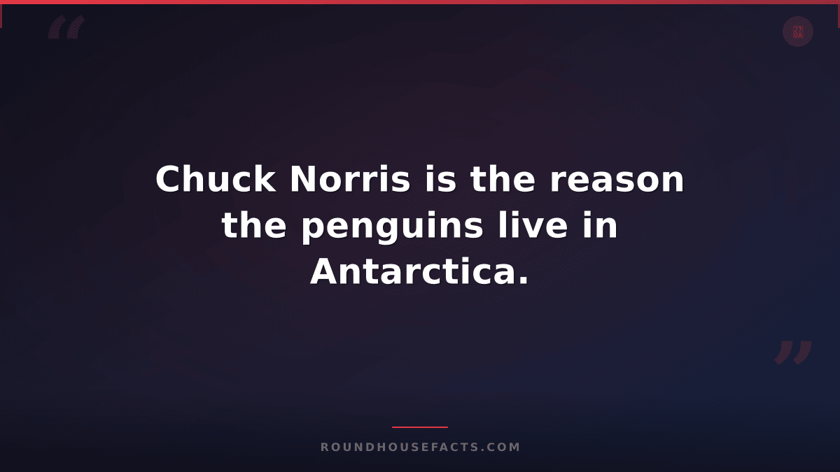 Chuck Norris Fact — Chuck Norris is the reason the penguins live in Antarctica.