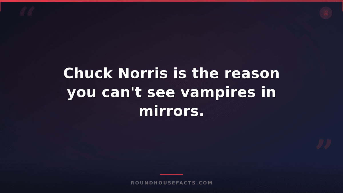 Chuck Norris Fact — Chuck Norris is the reason you can't see vampires in mirrors