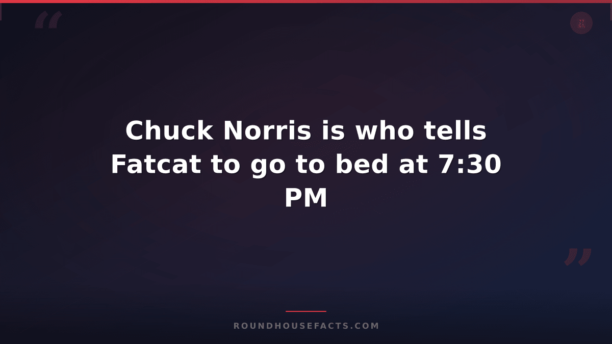 Chuck Norris Fact — Chuck Norris is who tells Fatcat to go to bed at 7:30 PM