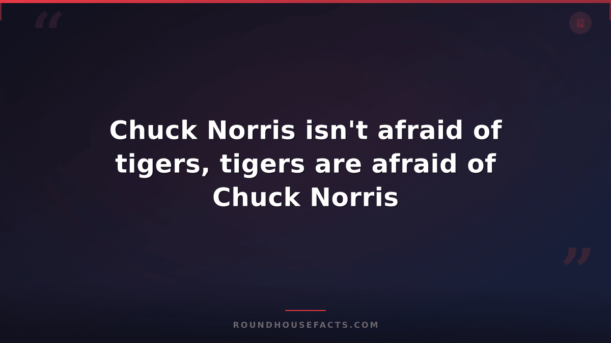 Chuck Norris Fact — Chuck Norris isn't afraid of tigers, tigers are afraid of Ch