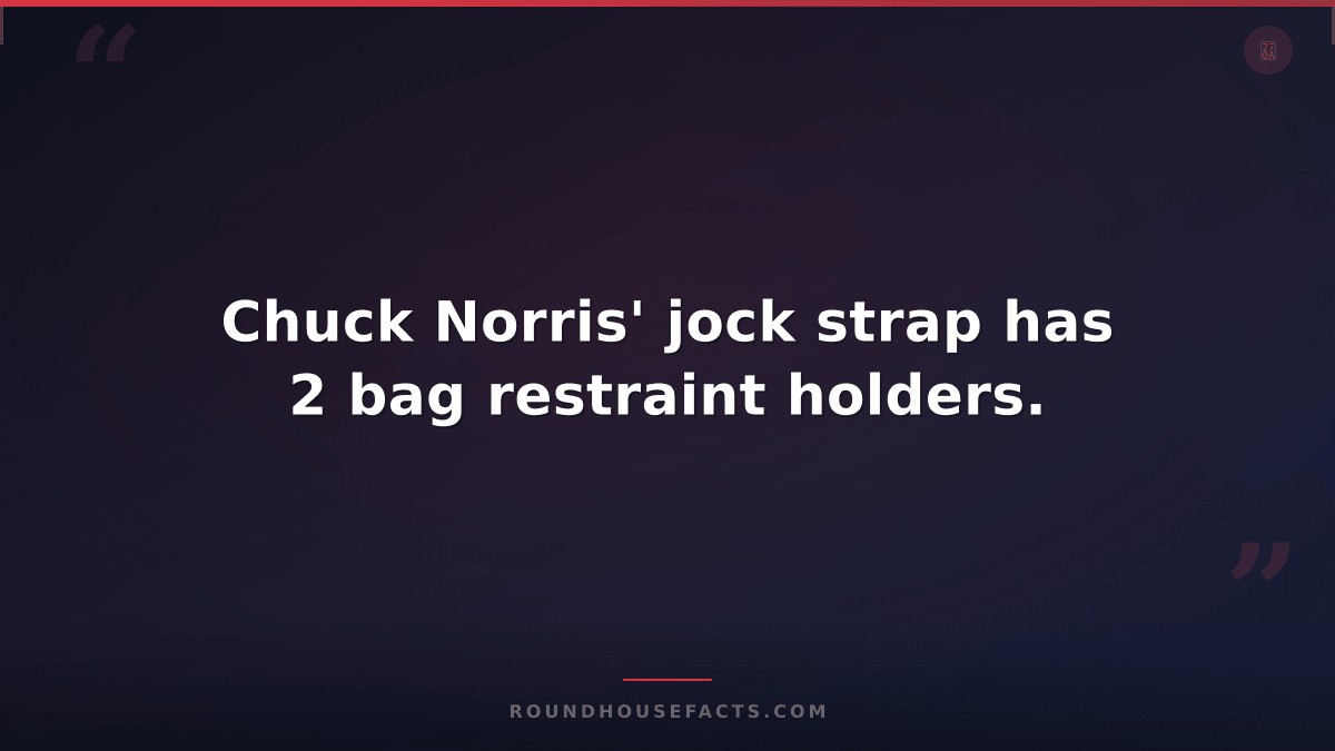 Chuck Norris Fact — Chuck Norris' jock strap has 2 bag restraint holders.