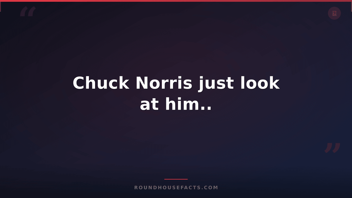 Chuck Norris Fact — Chuck Norris just look at him..