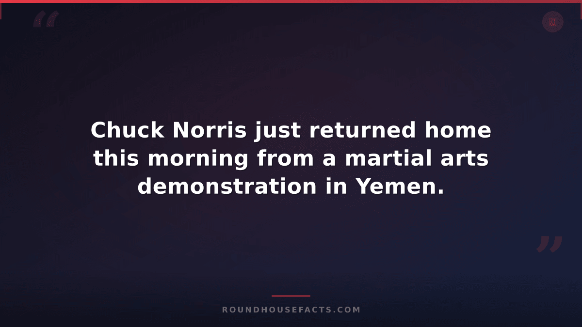 Chuck Norris Fact — Chuck Norris just returned home this morning from a martial