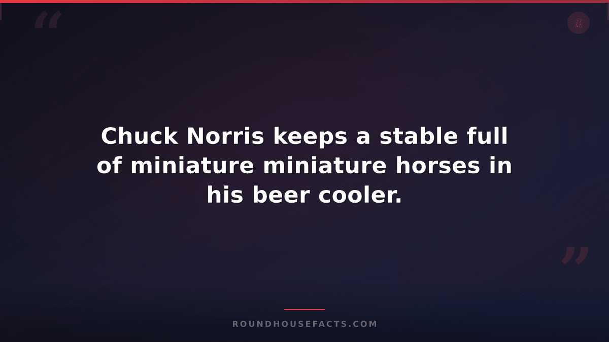 Chuck Norris Fact — Chuck Norris keeps a stable full of miniature miniature hors