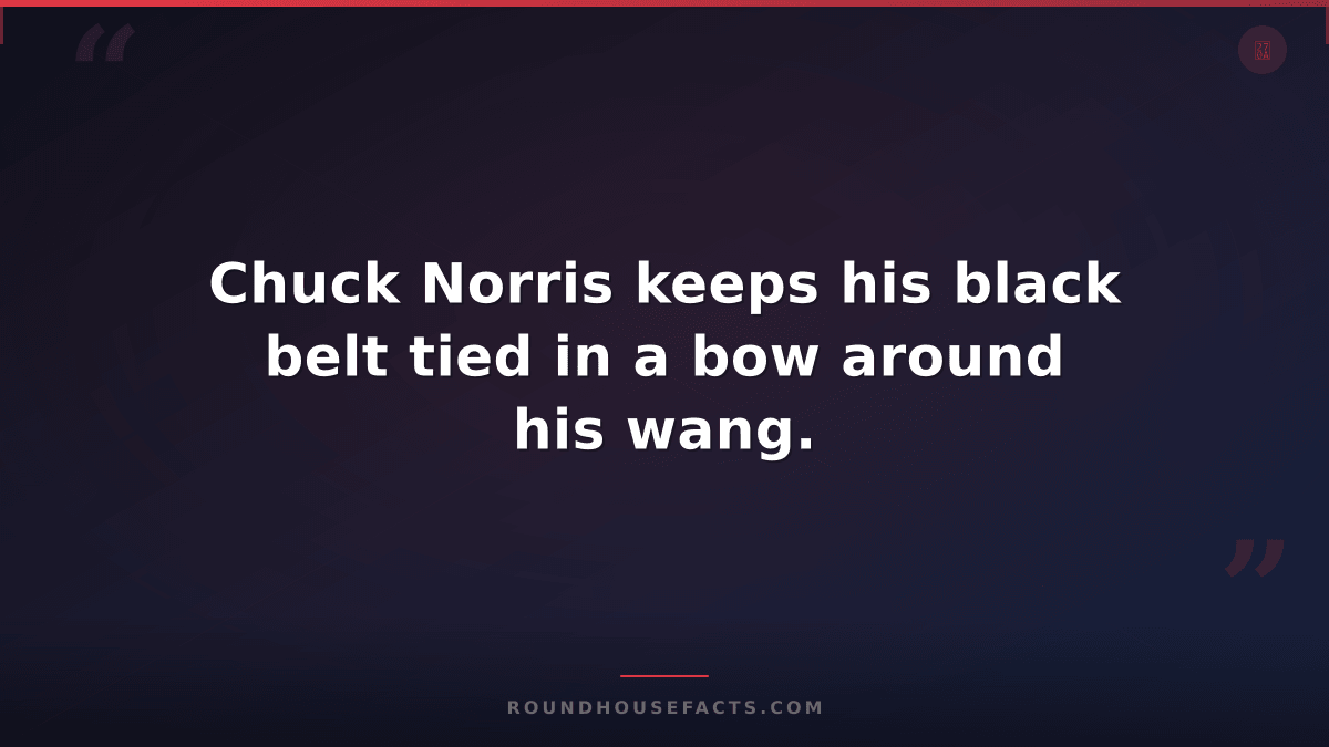 Chuck Norris Fact — Chuck Norris keeps his black belt tied in a bow around his w