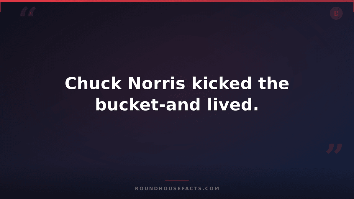 Chuck Norris Fact — Chuck Norris kicked the bucket-and lived.