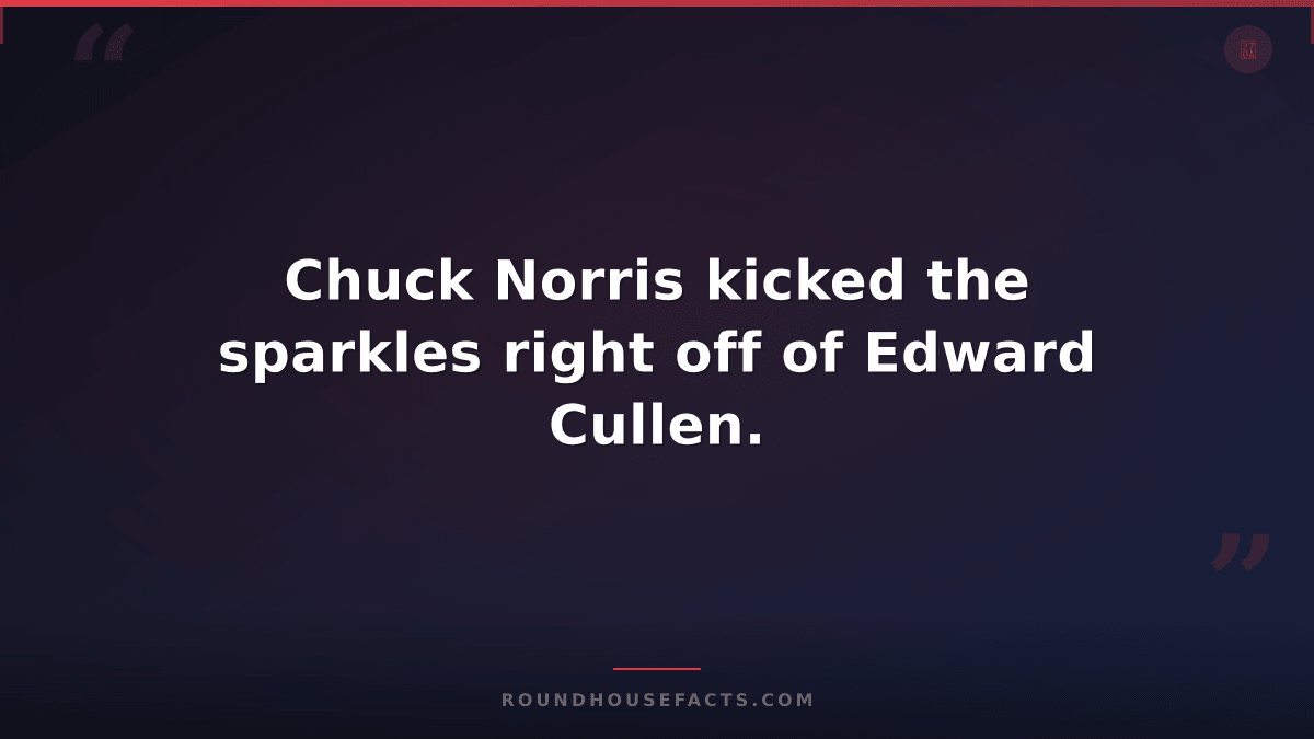 Chuck Norris Fact — Chuck Norris kicked the sparkles right off of Edward Cullen.