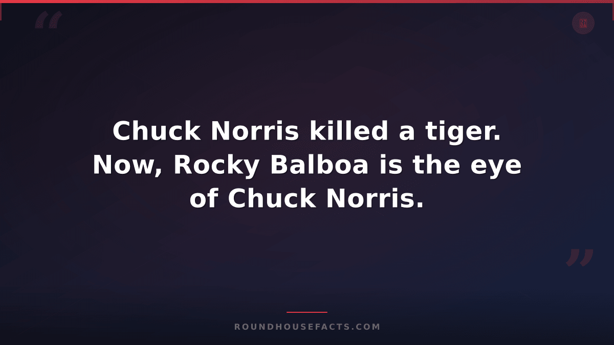 Chuck Norris Fact — Chuck Norris killed a tiger. Now, Rocky Balboa is the eye of