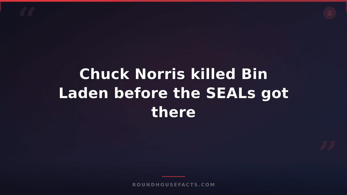 Chuck Norris Fact — Chuck Norris killed Bin Laden before the SEALs got there