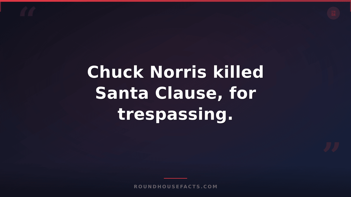 Chuck Norris Fact — Chuck Norris killed Santa Clause, for trespassing.