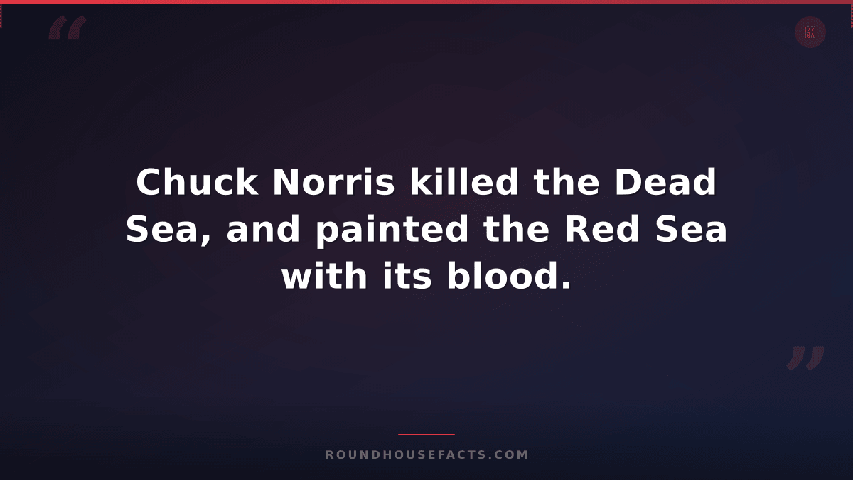 Chuck Norris Fact — Chuck Norris killed the Dead Sea, and painted the Red Sea wi