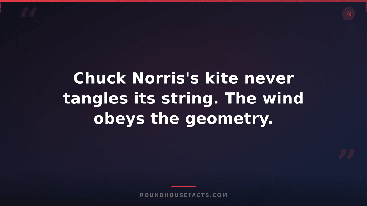 Chuck Norris Fact — Chuck Norris's kite never tangles its string. The wind obeys