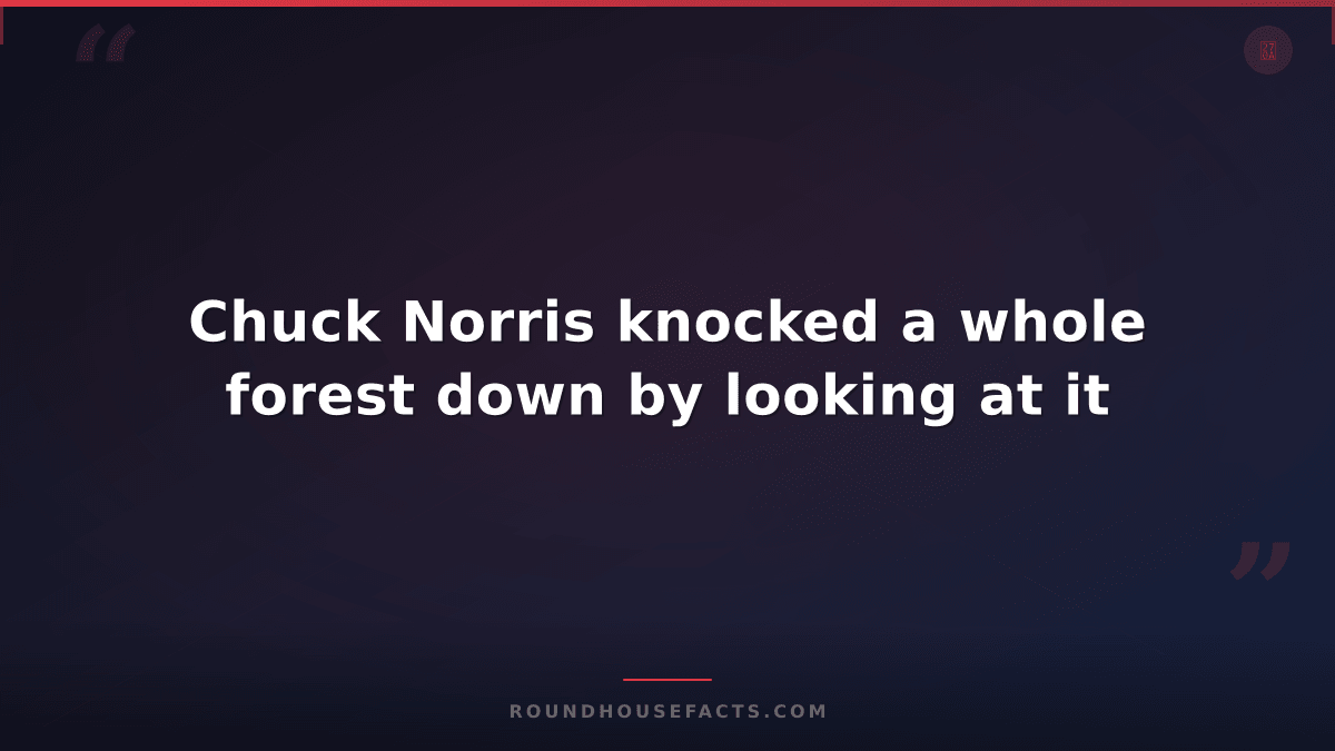 Chuck Norris Fact — Chuck Norris knocked a whole forest down by looking at it