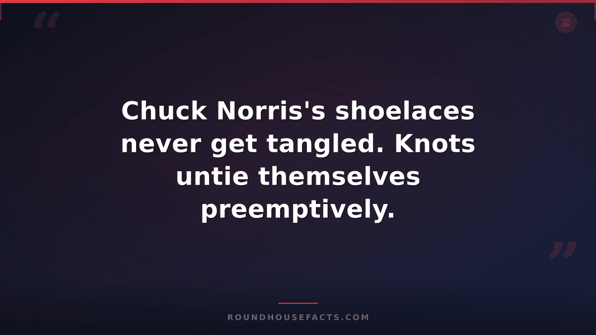 Chuck Norris Fact — Chuck Norris's shoelaces never get tangled. Knots untie them