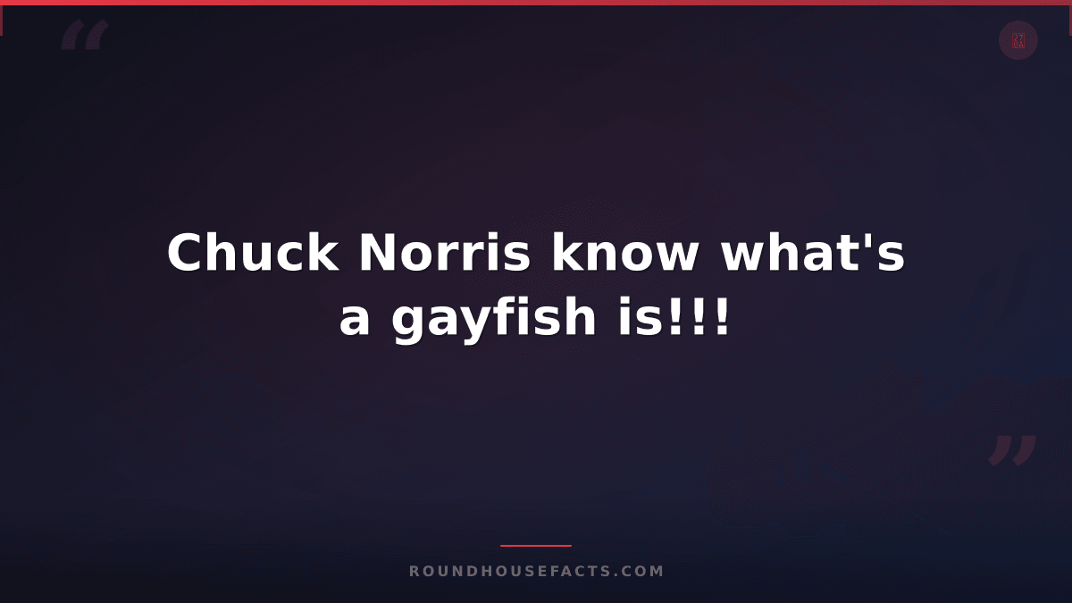 Chuck Norris Fact — Chuck Norris know what's a gayfish is!!!