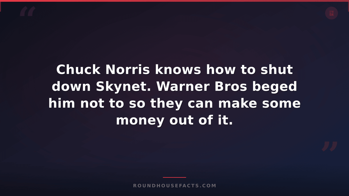 Chuck Norris Fact — Chuck Norris knows how to shut down Skynet. Warner Bros bege