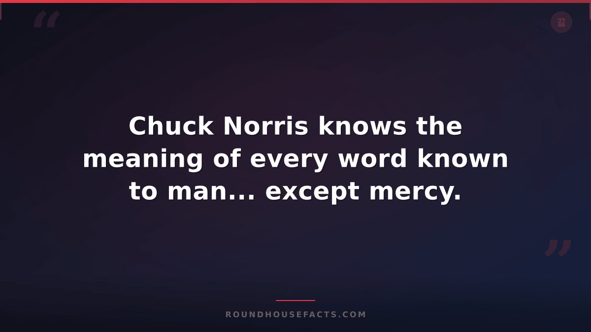 Chuck Norris Fact — Chuck Norris knows the meaning of every word known to man...