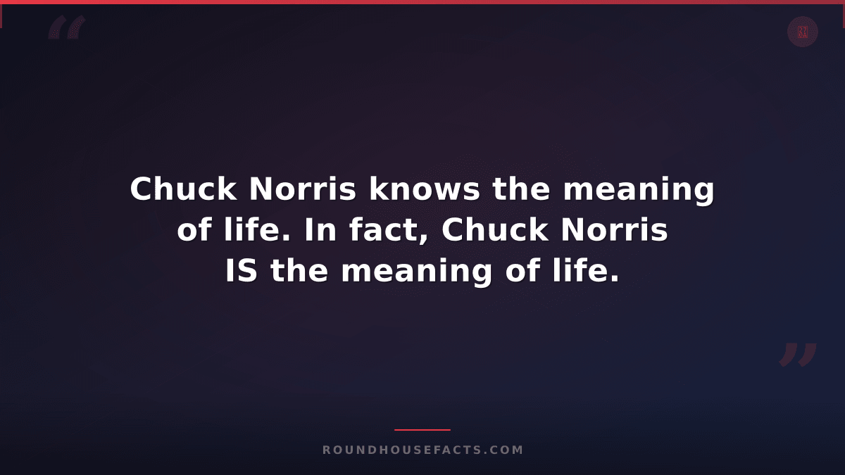 Chuck Norris Fact — Chuck Norris knows the meaning of life. In fact, Chuck Norri