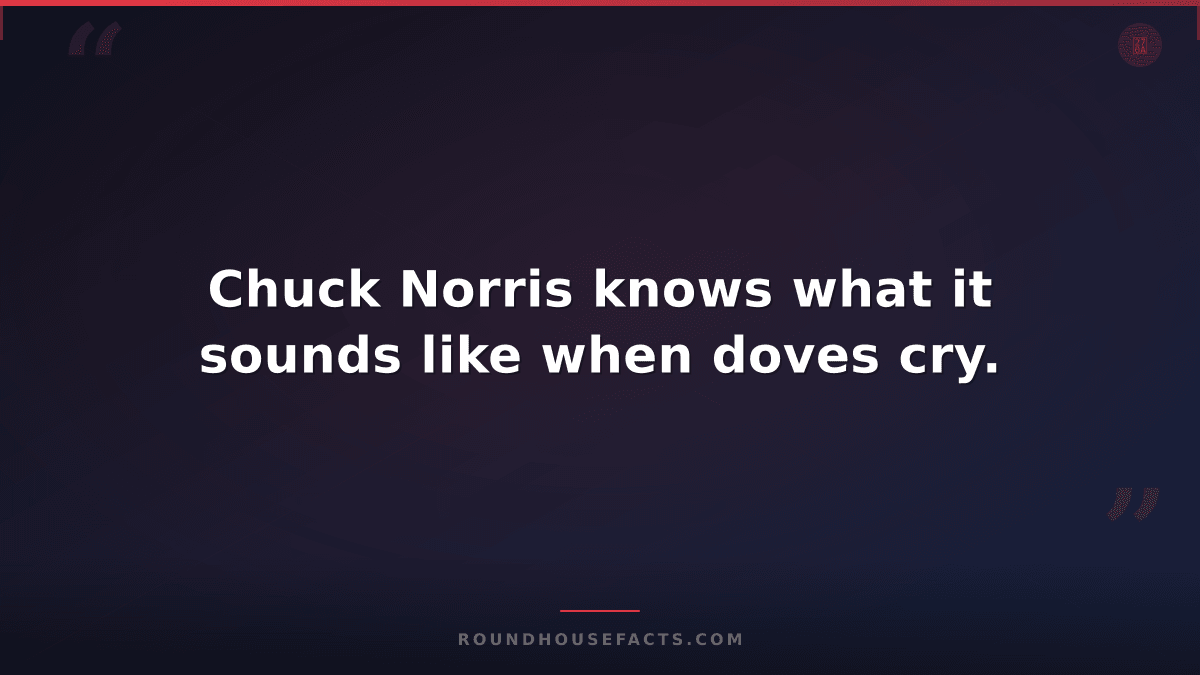 Chuck Norris Fact — Chuck Norris knows what it sounds like when doves cry.