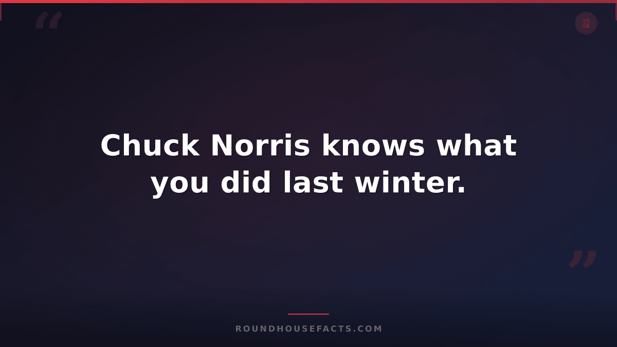 Chuck Norris Fact — Chuck Norris knows what you did last winter.