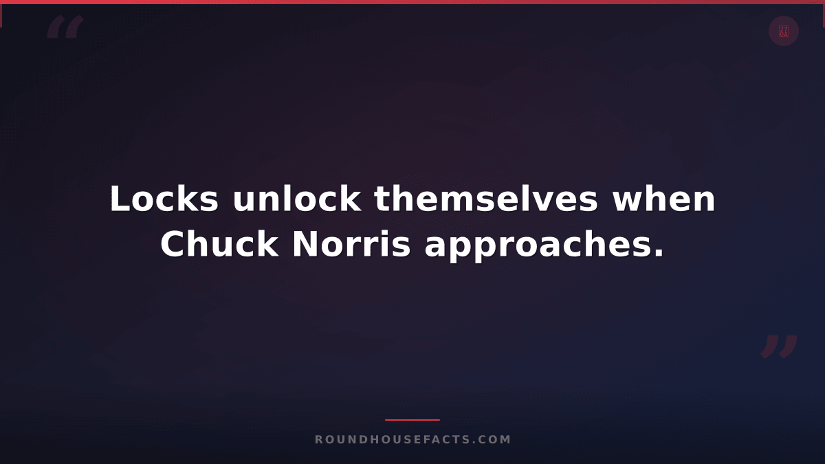 Chuck Norris Fact — Locks unlock themselves when Chuck Norris approaches.