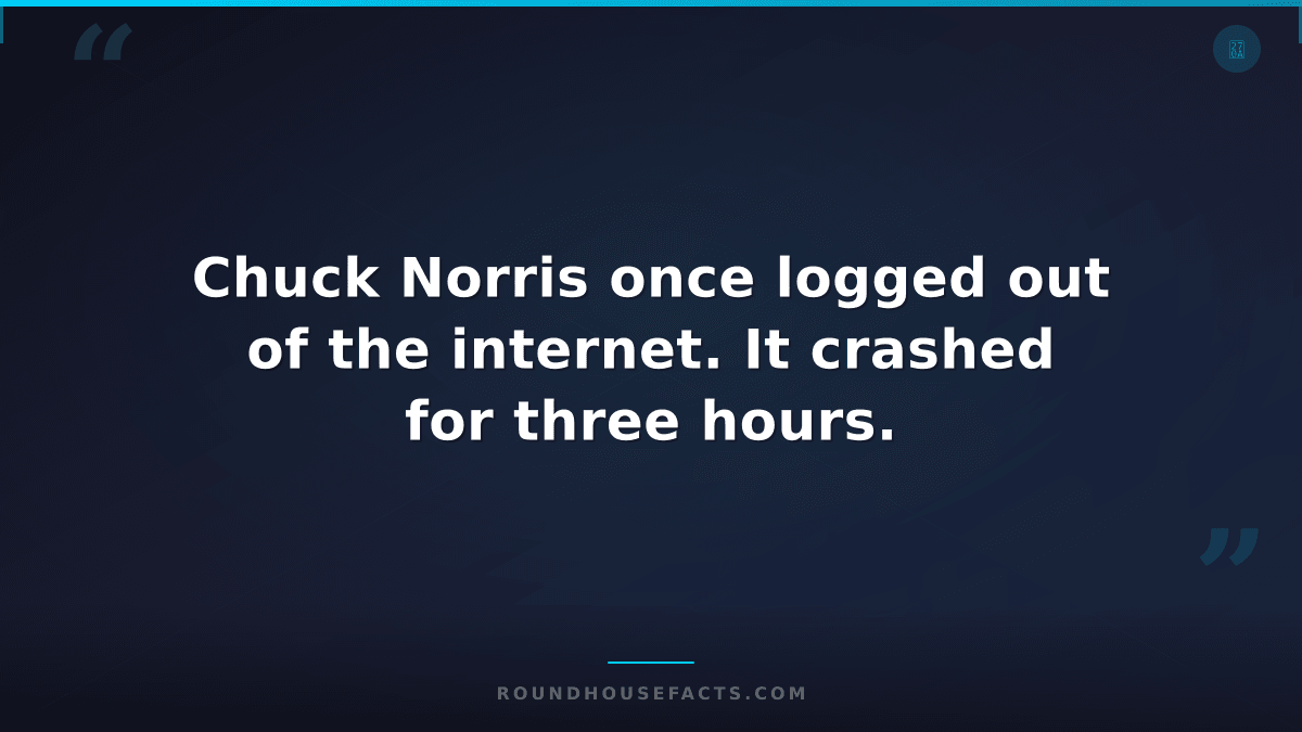 Chuck Norris Fact — Chuck Norris once logged out of the internet. It crashed for