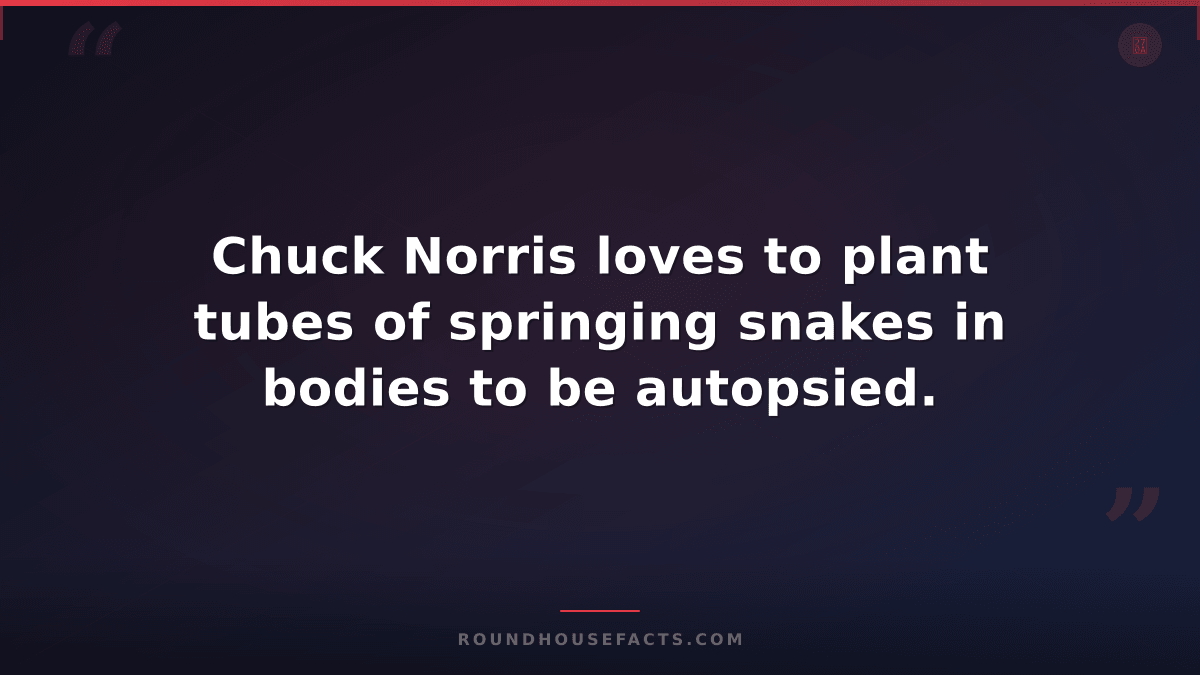 Chuck Norris Fact — Chuck Norris loves to plant tubes of springing snakes in bod