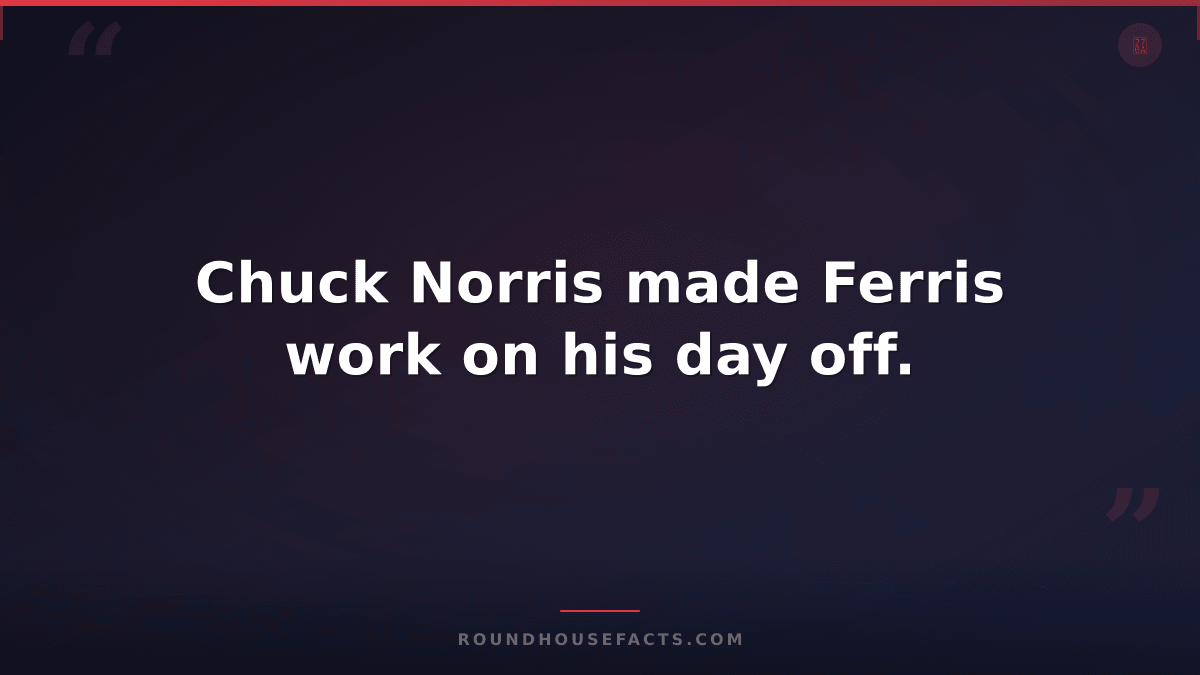 Chuck Norris Fact — Chuck Norris made Ferris work on his day off.
