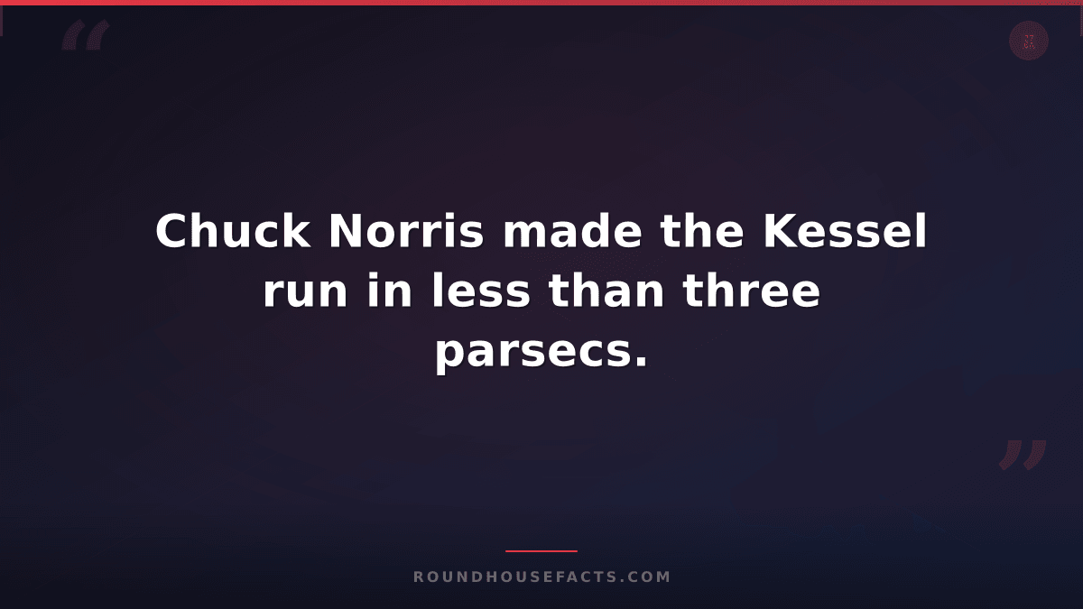 Chuck Norris Fact — Chuck Norris made the Kessel run in less than three parsecs.