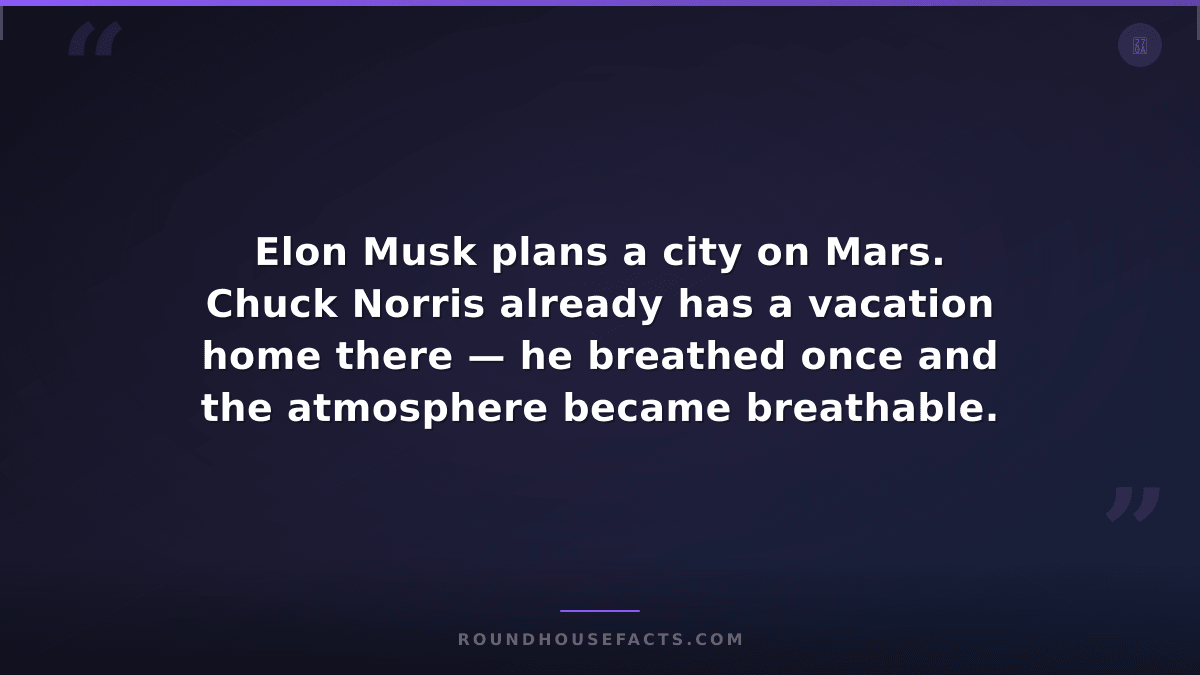 Chuck Norris Fact — Elon Musk plans a city on Mars. Chuck Norris already has a v