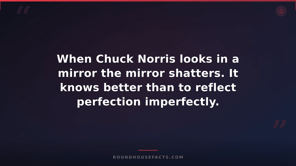 Chuck Norris Fact — When Chuck Norris looks in a mirror the mirror shatters. It