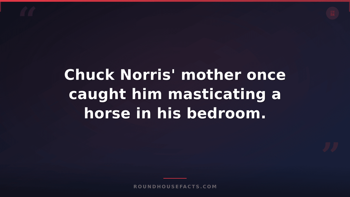 Chuck Norris Fact — Chuck Norris' mother once caught him masticating a horse in