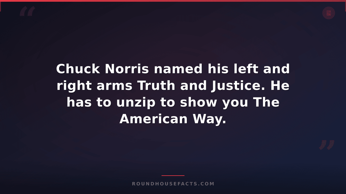 Chuck Norris Fact — Chuck Norris named his left and right arms Truth and Justice