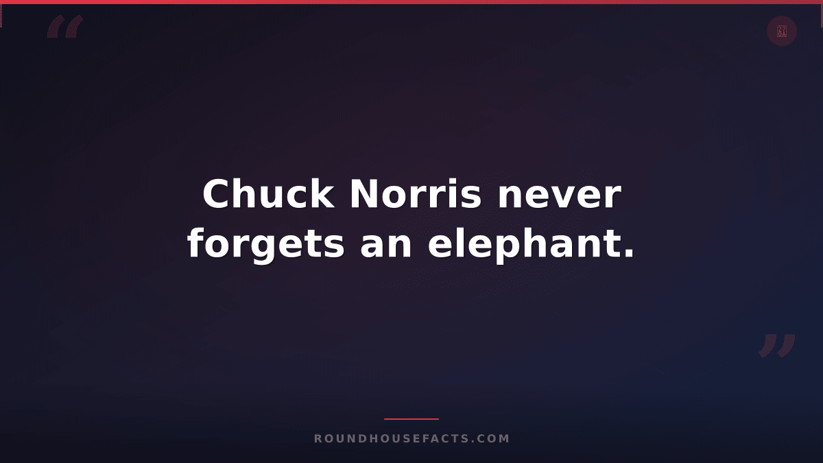Chuck Norris Fact — Chuck Norris never forgets an elephant.