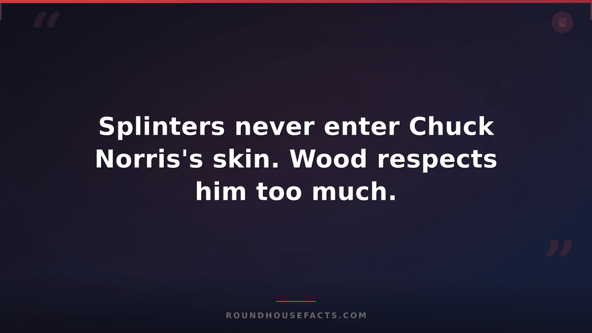 Chuck Norris Fact — Splinters never enter Chuck Norris's skin. Wood respects him